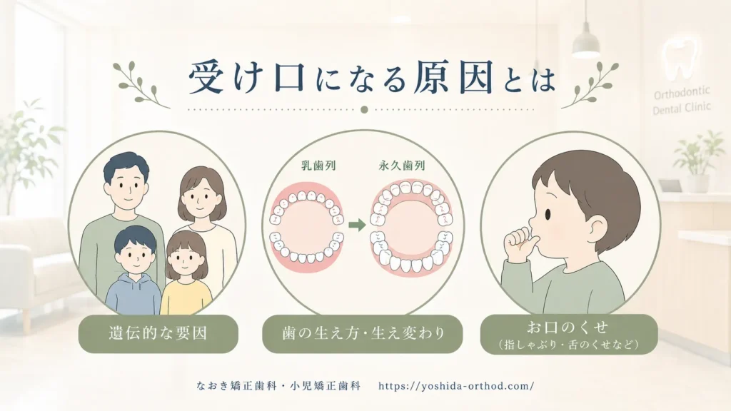 子どもの反対咬合の原因