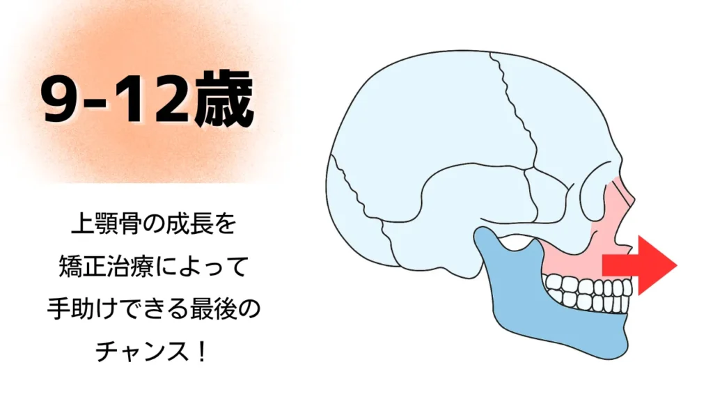 9〜12歳：上顎の成長を活かせるラストチャンス